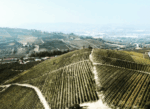 Piero Busso Langhe Nebbiolo 2021 (6 Bottles) Piedmont, Italy - Image 2