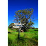 Leasingham Single Vineyard Provis Vineyard Shiraz 2016 (6 Bottles) Clare Valley - Image 3