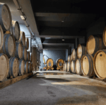 Sentio Beechworth Nebbiolo 2021 (12 Bottles) King Valley, Victoria - Image 3