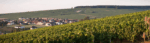 Domaine Daniel Dampt et Fils Petit Chablis 2022 (6 Bottles) France - Image 6