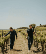 Domaine Alary L'Estevenas Cairanne Rouge 2020 (12 Bottles) Cairanne, Southern Rhône - Image 2