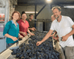 Domaine Rois Mages Clos du Moulin à Vent Blanc 2018 (6 Bottles) Rully, Burgundy - Image 3