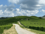 Arnaldo Rivera Bussia Barolo DOCG 2018 (6 Bottles) Piedmont, Italy - Image 2
