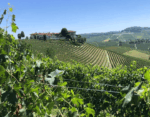 Arnaldo Rivera Bussia Barolo DOCG 2018 (6 Bottles) Piedmont, Italy - Image 4