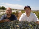 Old Plains Wines Longhop Riesling (12 Bottles) Adelaide Hills - Image 2