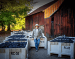 Radio Coteau Dusty Lane Syrah 2016 (6 Bottles) Sonoma Coast, California - Image 6