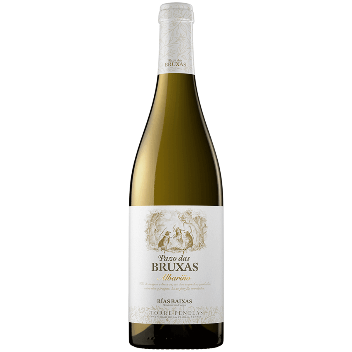 Torres Pazo das Bruxas Albariño 2023/24