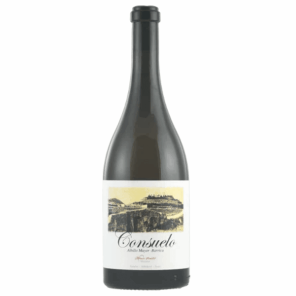 Alfredo Maestro Consuelo 2020 (6 Bottles) Ribera del Duero, Spain