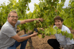 Domaine Sauveroy Cuvée Ose Iris Anjou Rouge 2020 (12 Bottles) France - Image 3