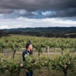 Grant Burge Aged Tawny NV (6 Bottles) Barossa Valley - Image 3