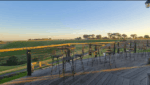 Clyde Park Estate Chardonnay 2023 (12 Bottles) Victoria - Image 4