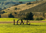 Clyde Park Estate Chardonnay 2023 (12 Bottles) Victoria - Image 3