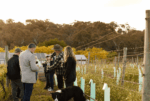 Howard Vineyard 400 Metre Range Sauvignon Blanc 2023 (12 Bottles) Adelaide Hills - Image 6