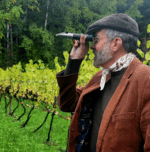 Teutonic Alsea Vineyard Pinot Noir 2015 (6 Bottles) Oregon, USA - Image 3