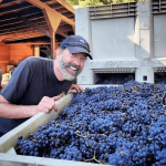 Teutonic Alsea Vineyard Pinot Noir 2015 (6 Bottles) Oregon, USA - Image 2