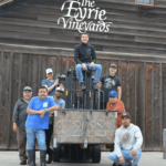 The Eyrie Vineyards Pinot Noir 2021 (6 Bottles) Oregon, USA - Image 5