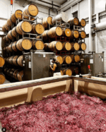Ashes & Diamonds Napa Valley Cabernet Franc No.4 2017 (6 Bottles) Napa Valley - Image 6