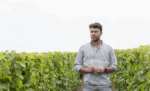 Les Quatre Piliers Grande Cuvée Au dessus de Vitré Cabernet Franc 2020 (6 Bottles) Loire Valley - Image 5