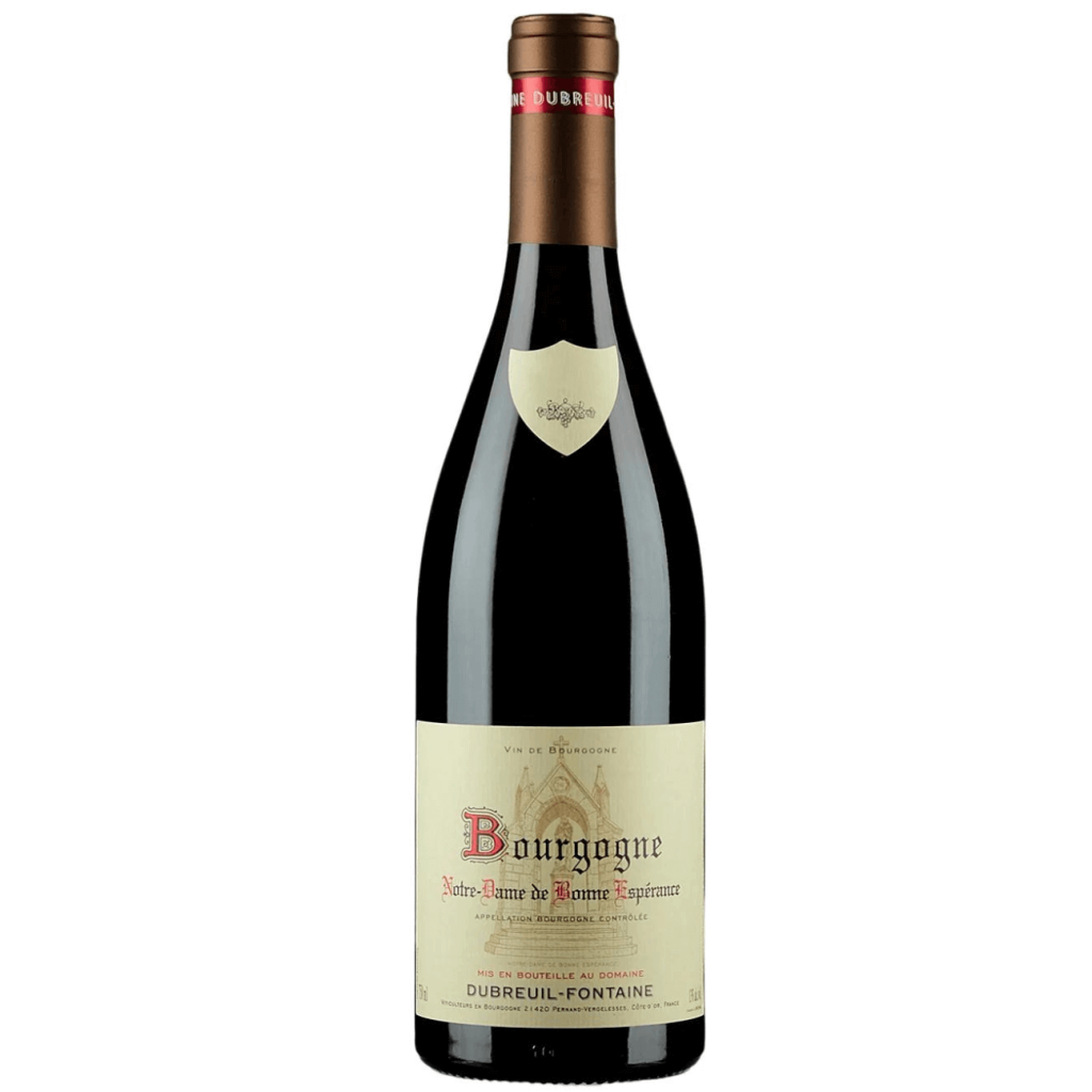 Domaine Dubreuil Fontaine Bourgogne Notre Dame De Bonne Esperance