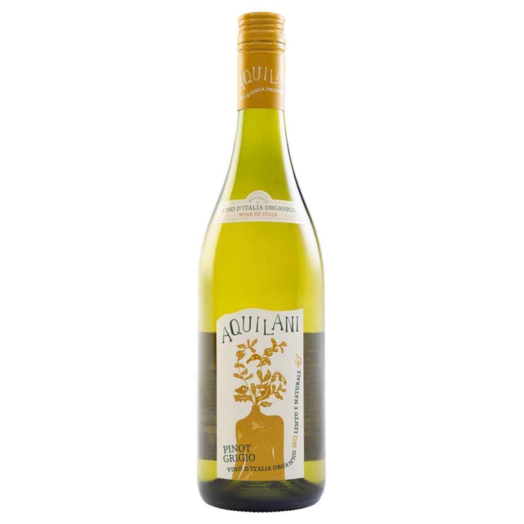 Aquilani pinot grigio