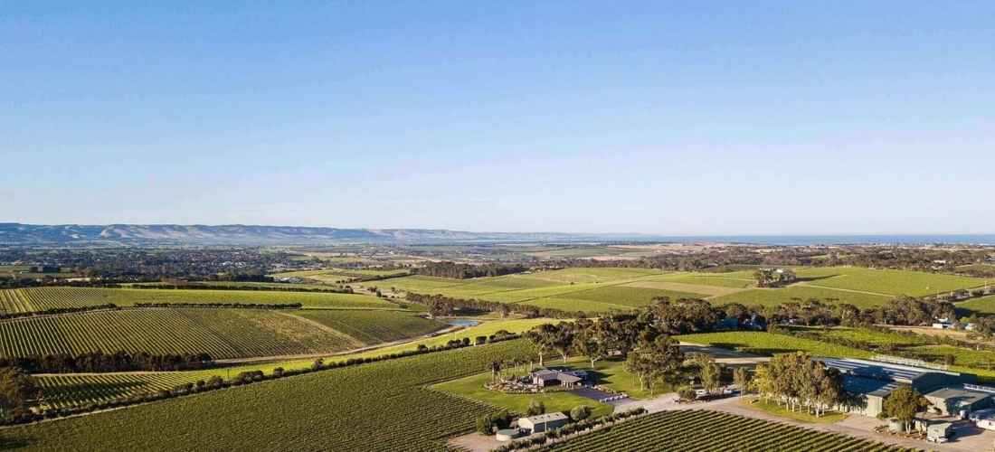 Mollydooker Wines