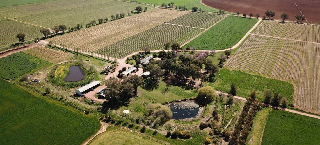 Windowrie Wines