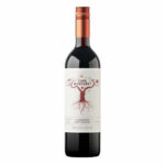 Cape Margaret Cabernet Sauvignon