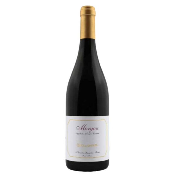 Cellier des Samsons Morgon