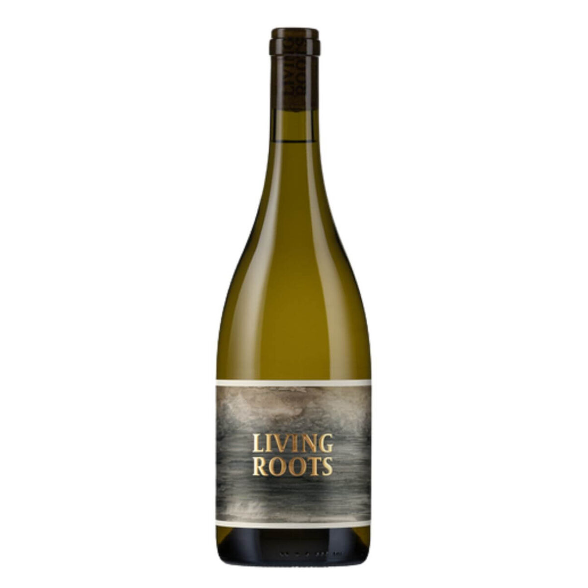 Living Roots Barbera