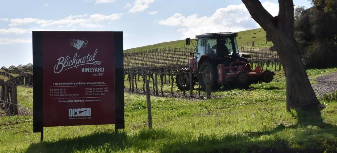 Orchid Wine Estate