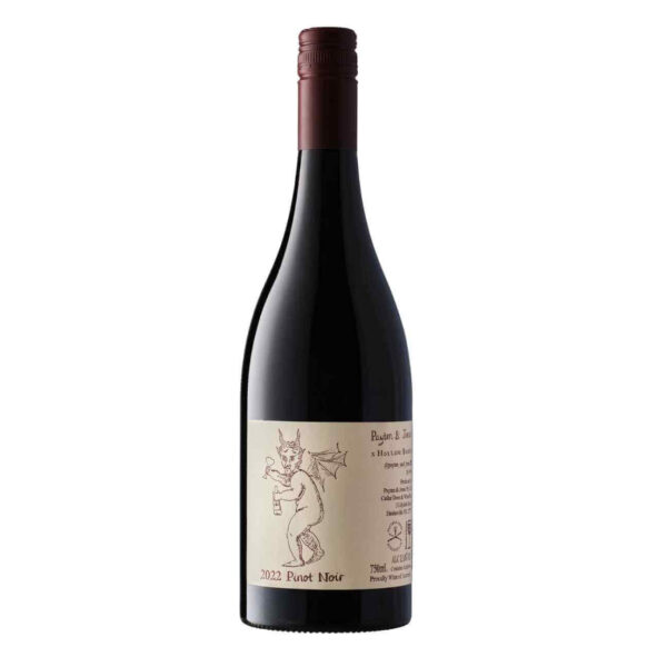 Payten and Jones Hollow Bones Pinot Noir