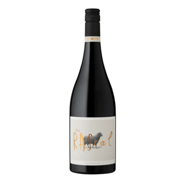 Hugh Hamilton The Rascal Shiraz