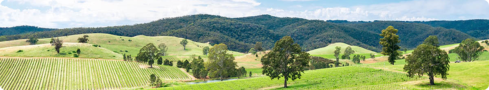 Wine Suppliers