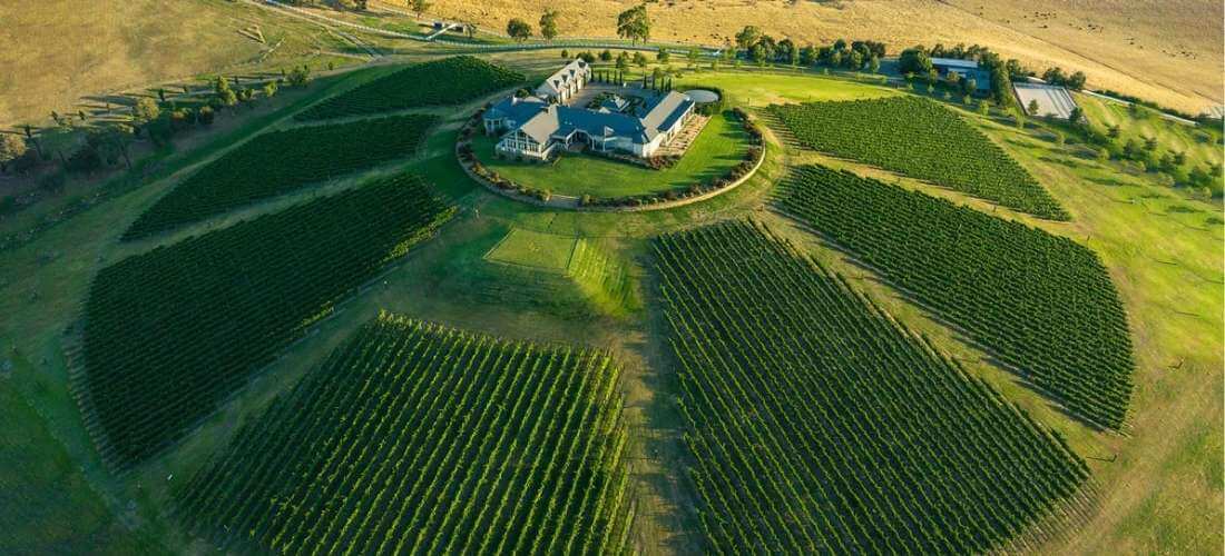 Levantine Hill Estate