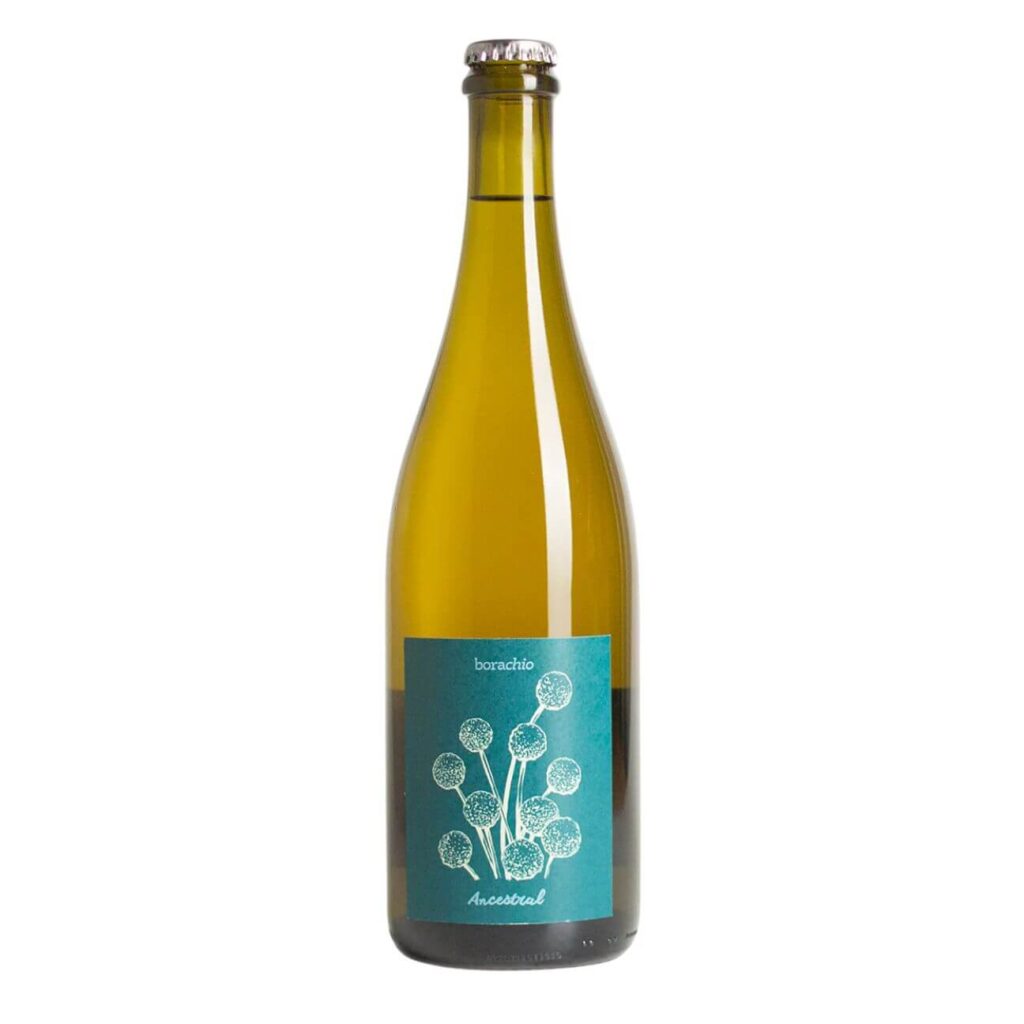 Borachio Ancestral Savagnin