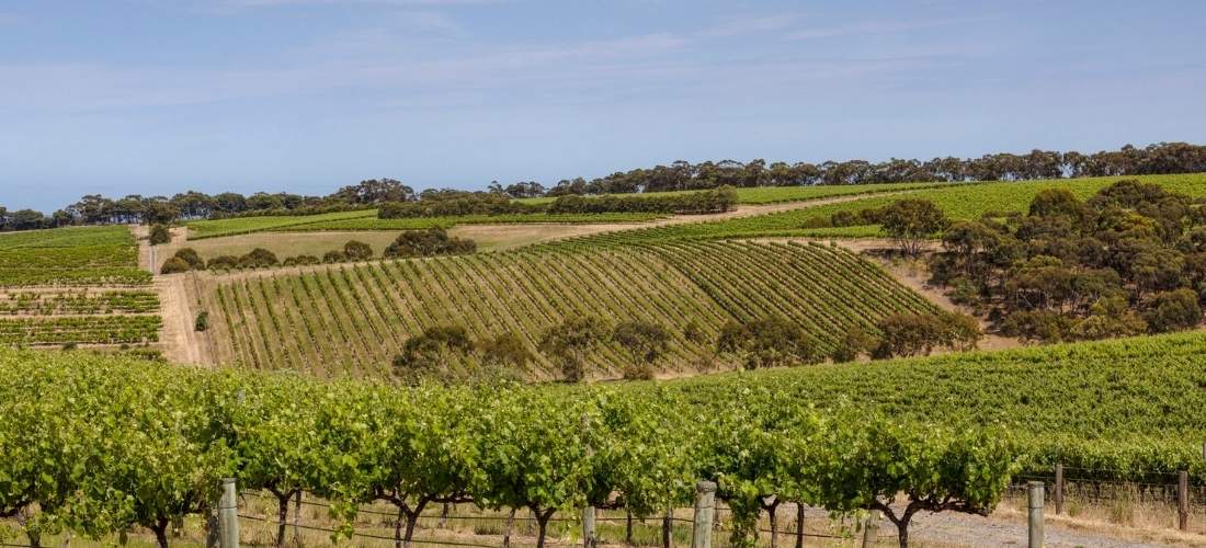 Penny's Hill