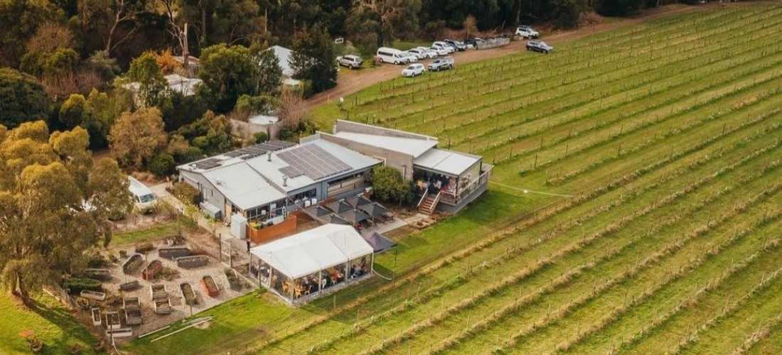 Steels Gate Wines