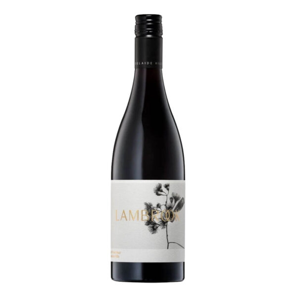 Lambrook Plant Pinot Noir