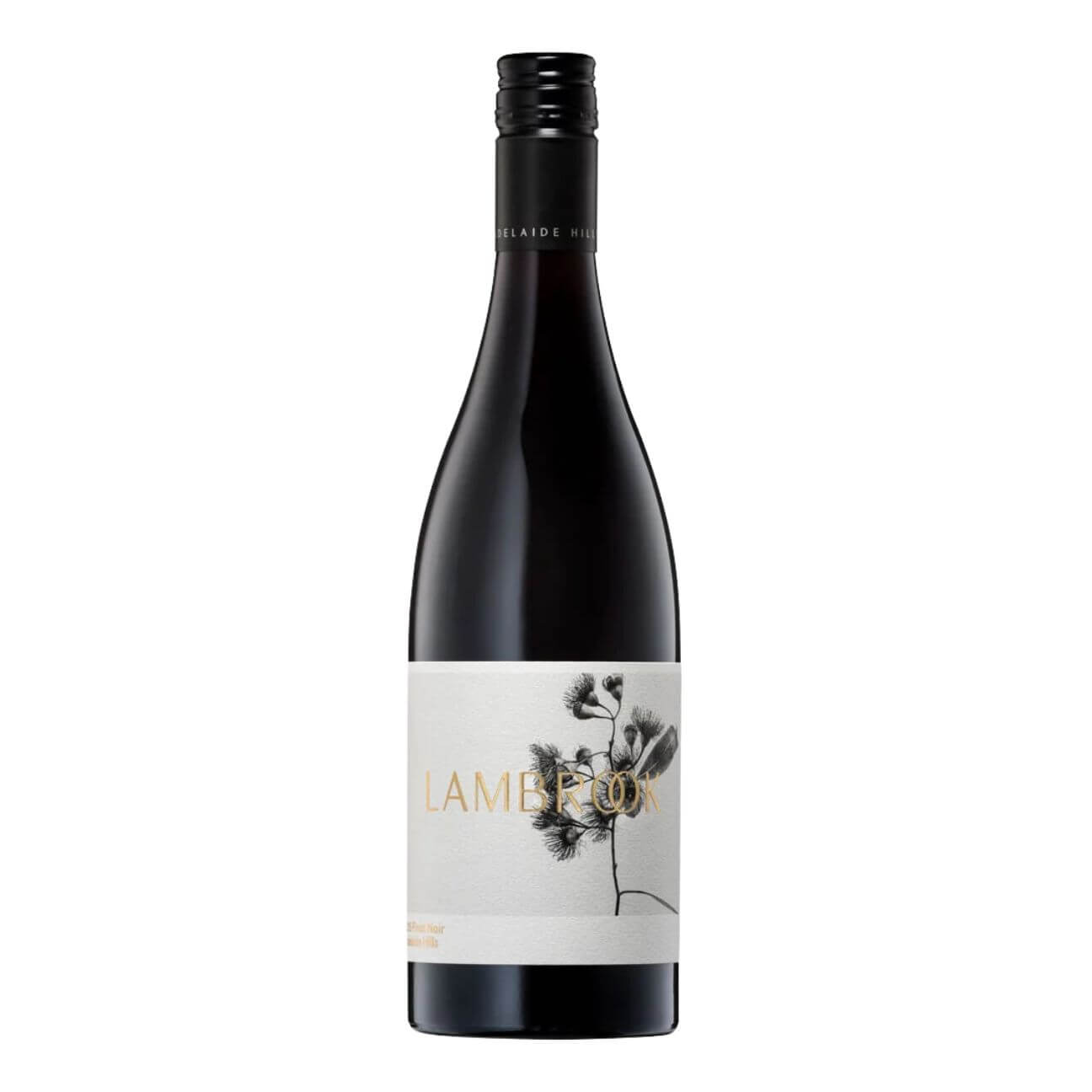 Lambrook Plant Pinot Noir Lambrook Plant Pinot Noir