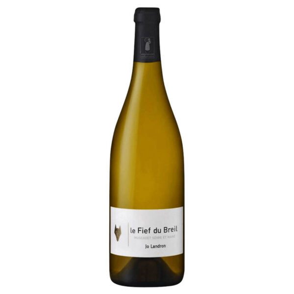 Jo Landron Muscadet Sèvre et Maine Le Fief du Breil