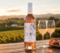 Levantine hill rose