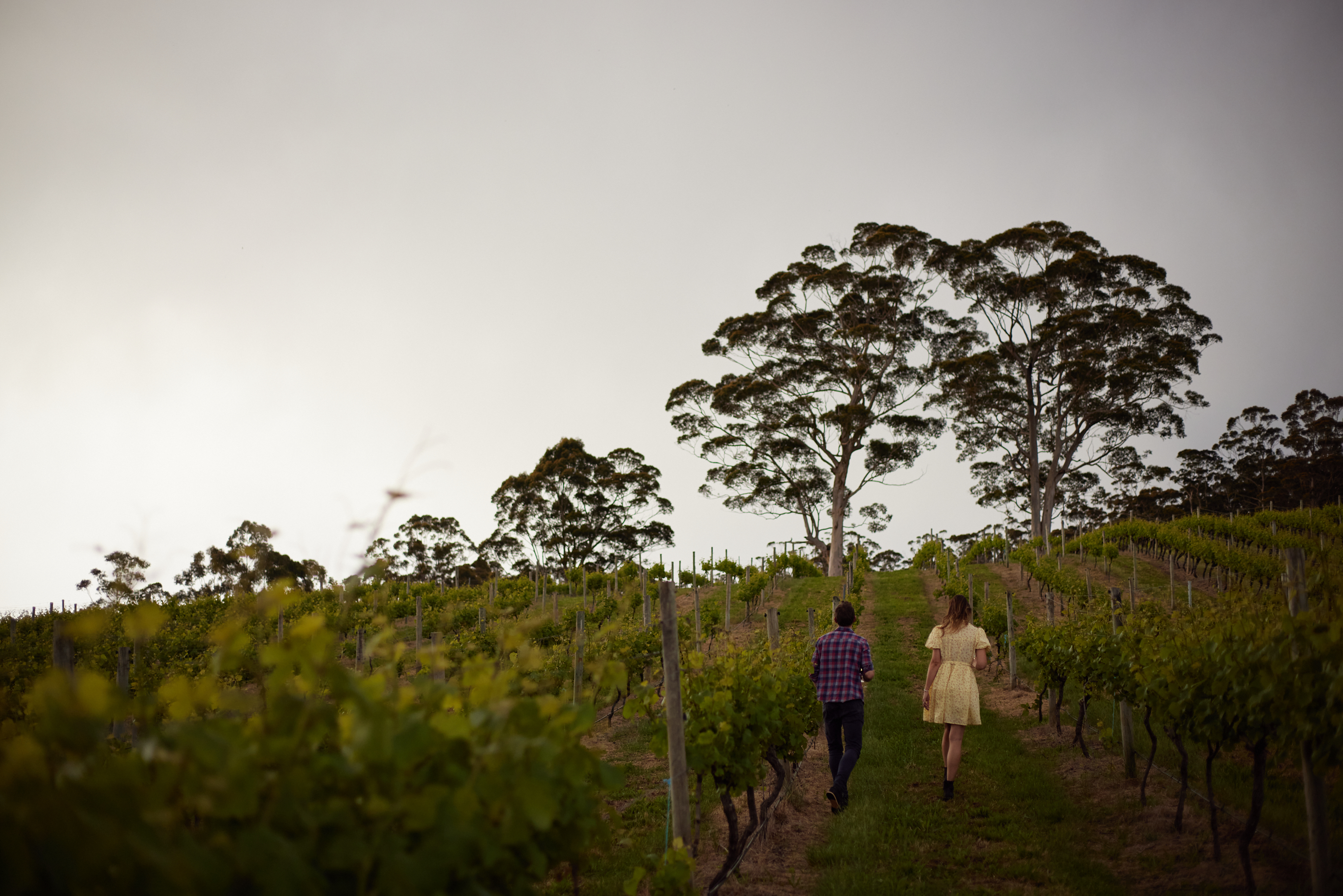 Rockcliffe Wines, Denmark WA
