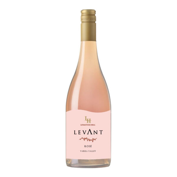 Levantine Hill Rose