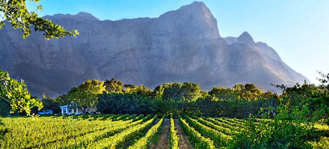 DGB South Africa