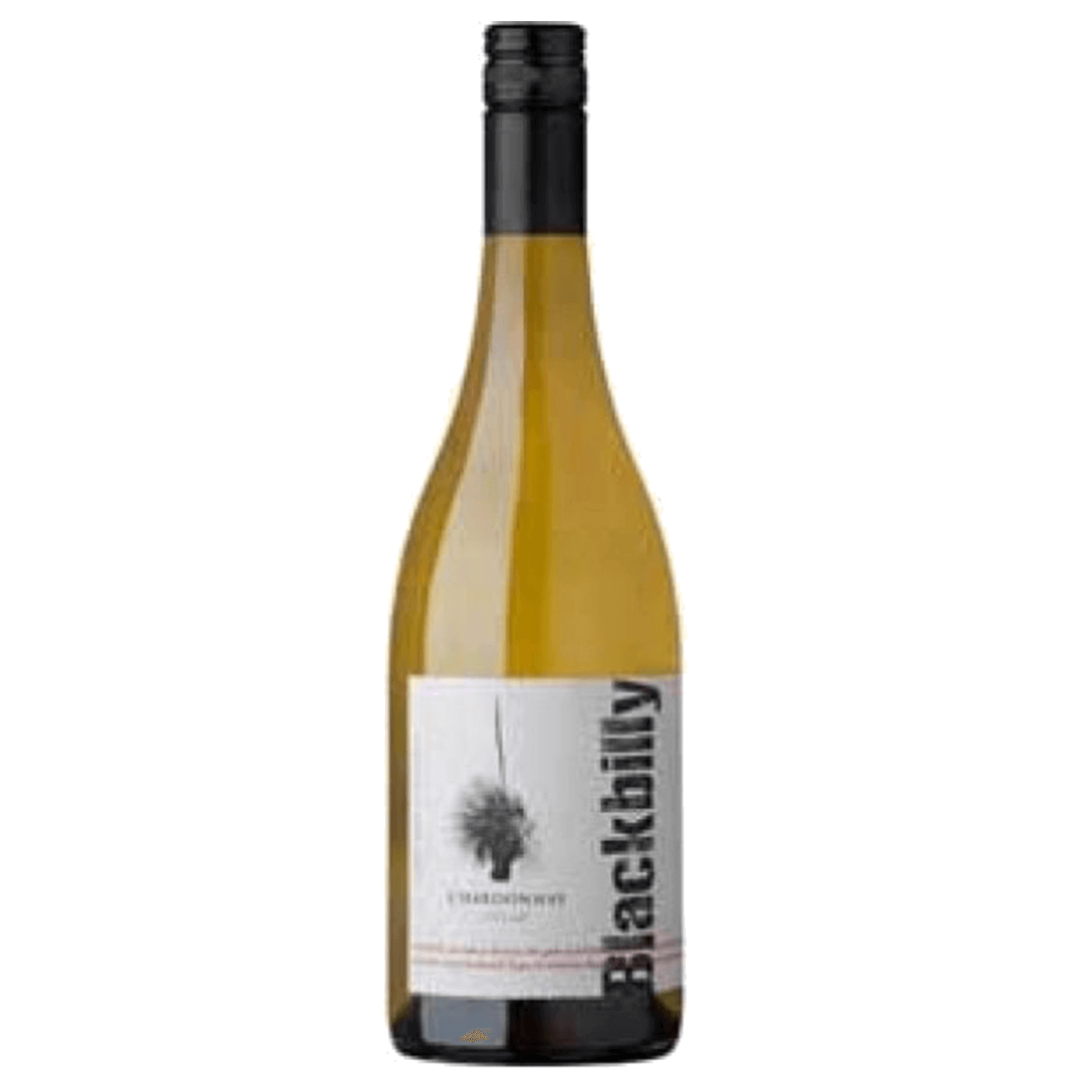 Nick Haselgrove Blackbilly Chardonnay 2025 (12 Bottles) Adelaide, SA