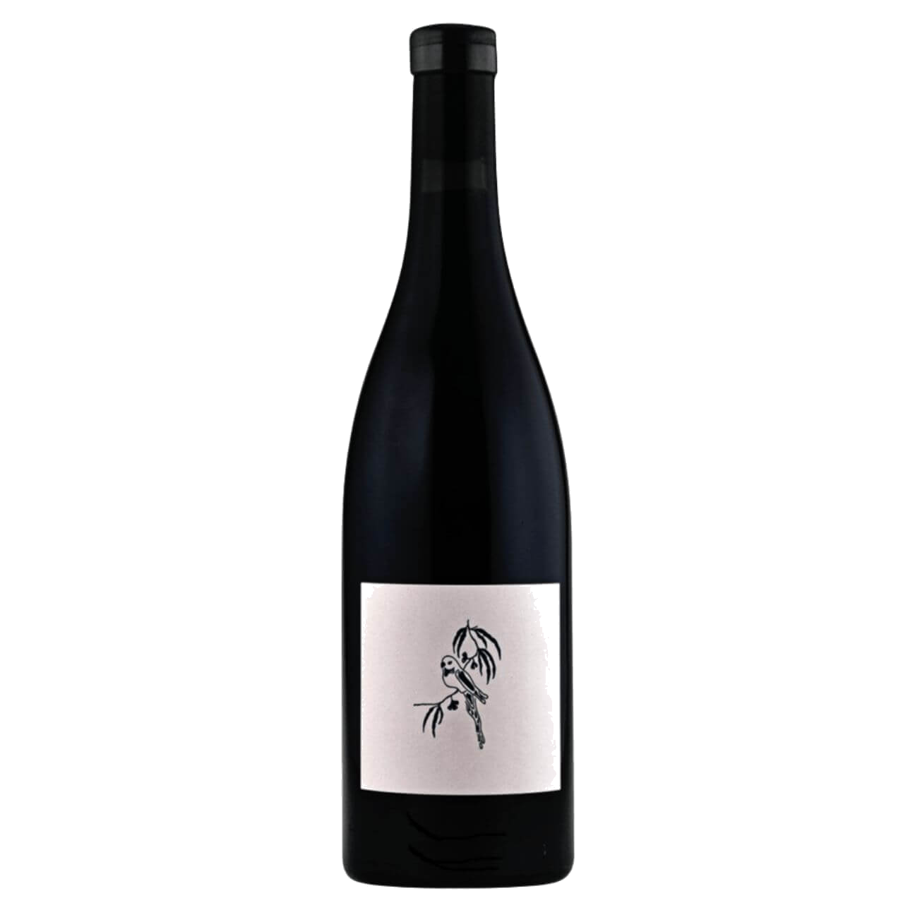Entropy Syrah 2023 (12 Bottles) Gippsland, VIC
