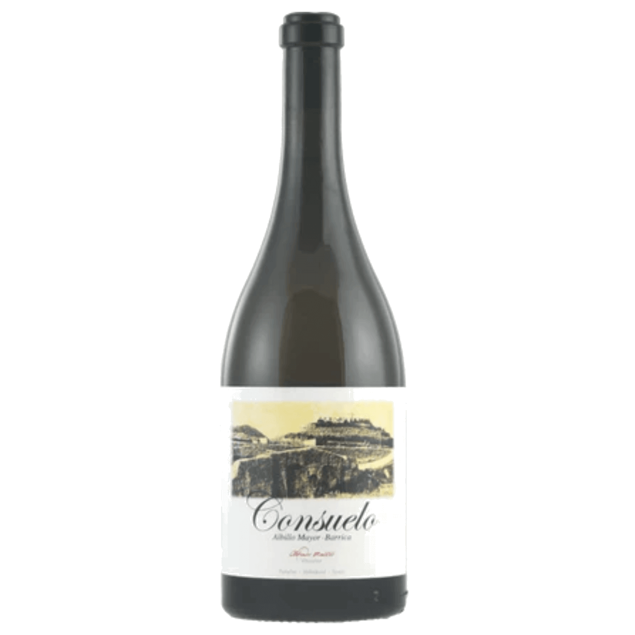Alfredo Maestro Consuelo 2020 (6 Bottles) Ribera del Duero, Spain
