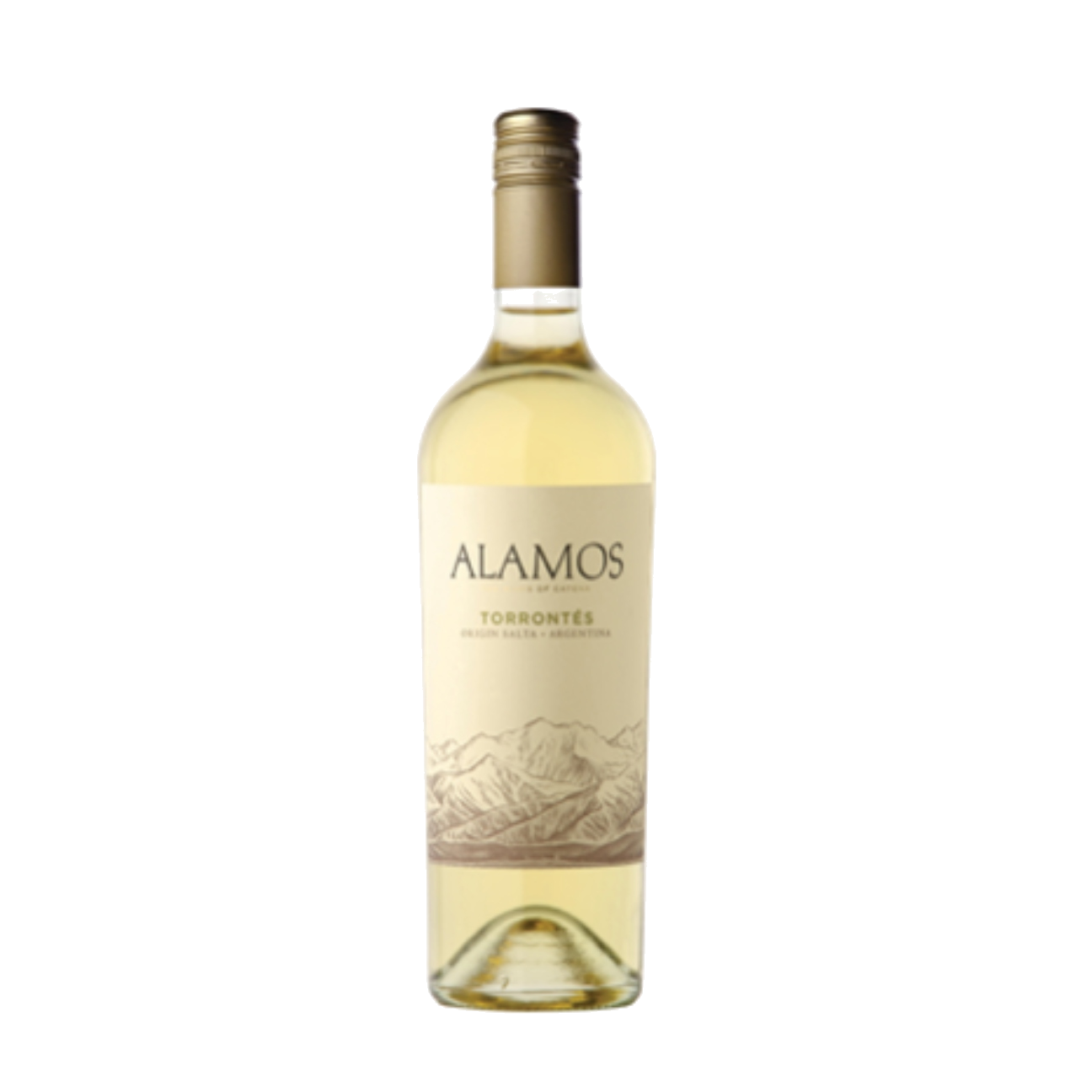 Alamos Torrontes 2024 (6 Bottles) Mendoza, Argentina