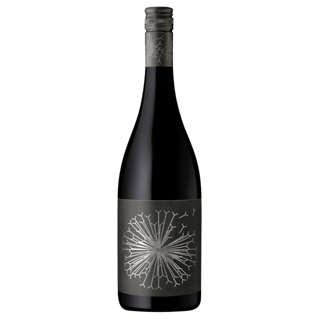 Dandelion Firehawk of McLaren Vale Shiraz 2023 (6 Bottles) McLaren Vale, SA