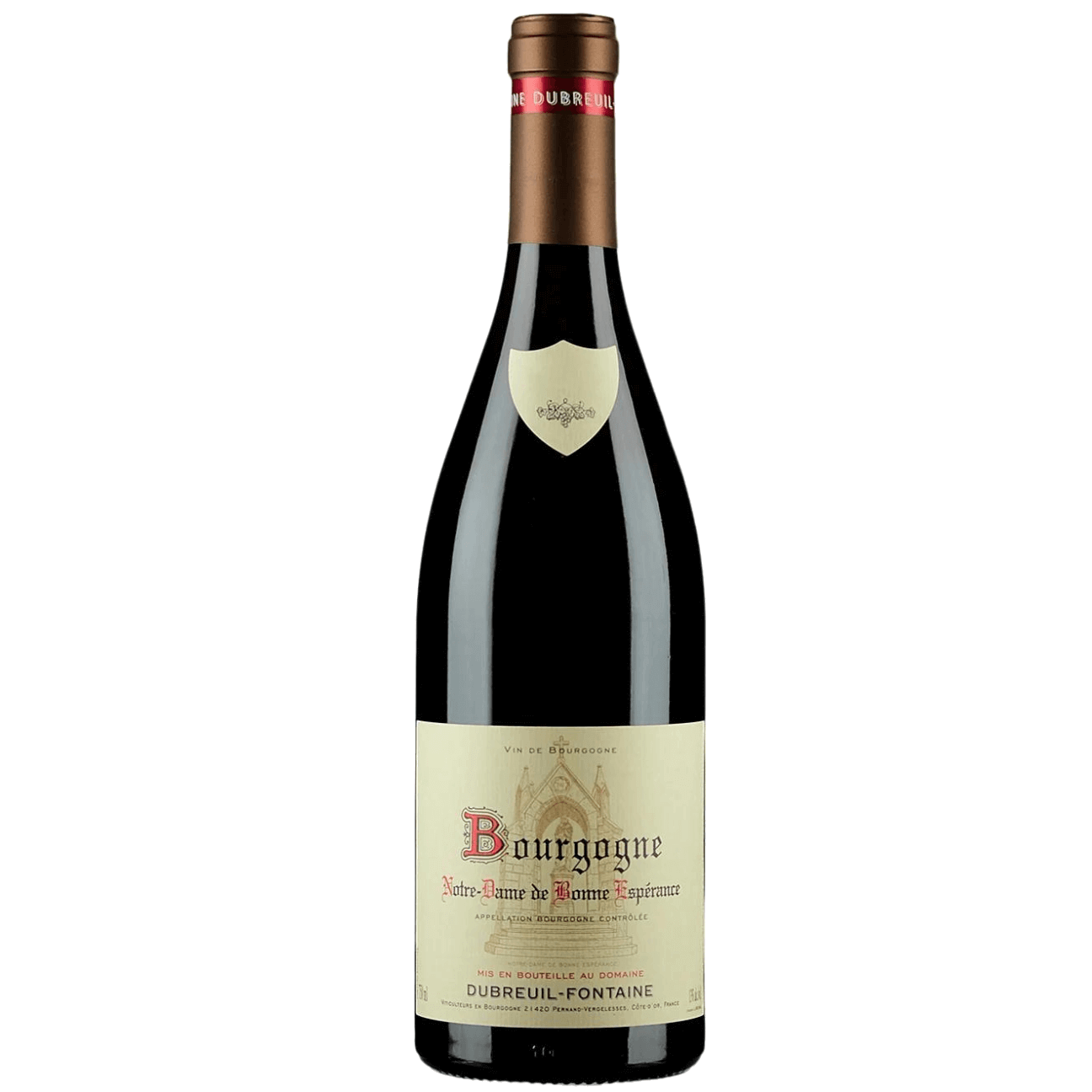 Domaine Dubreuil Fontaine Bourgogne Notre Dame De Bonne Esperance 2023 (6 Bottles) Burgundy, France